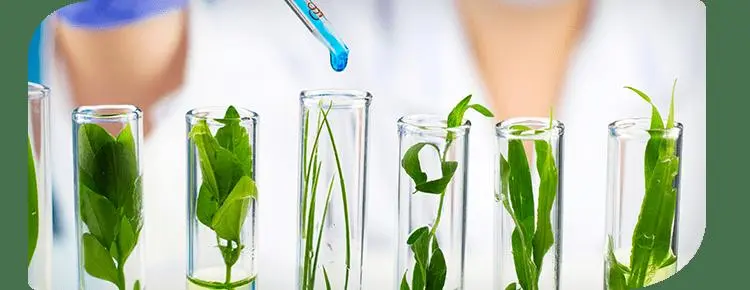 Extraction equipment